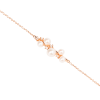 Oro Rosa