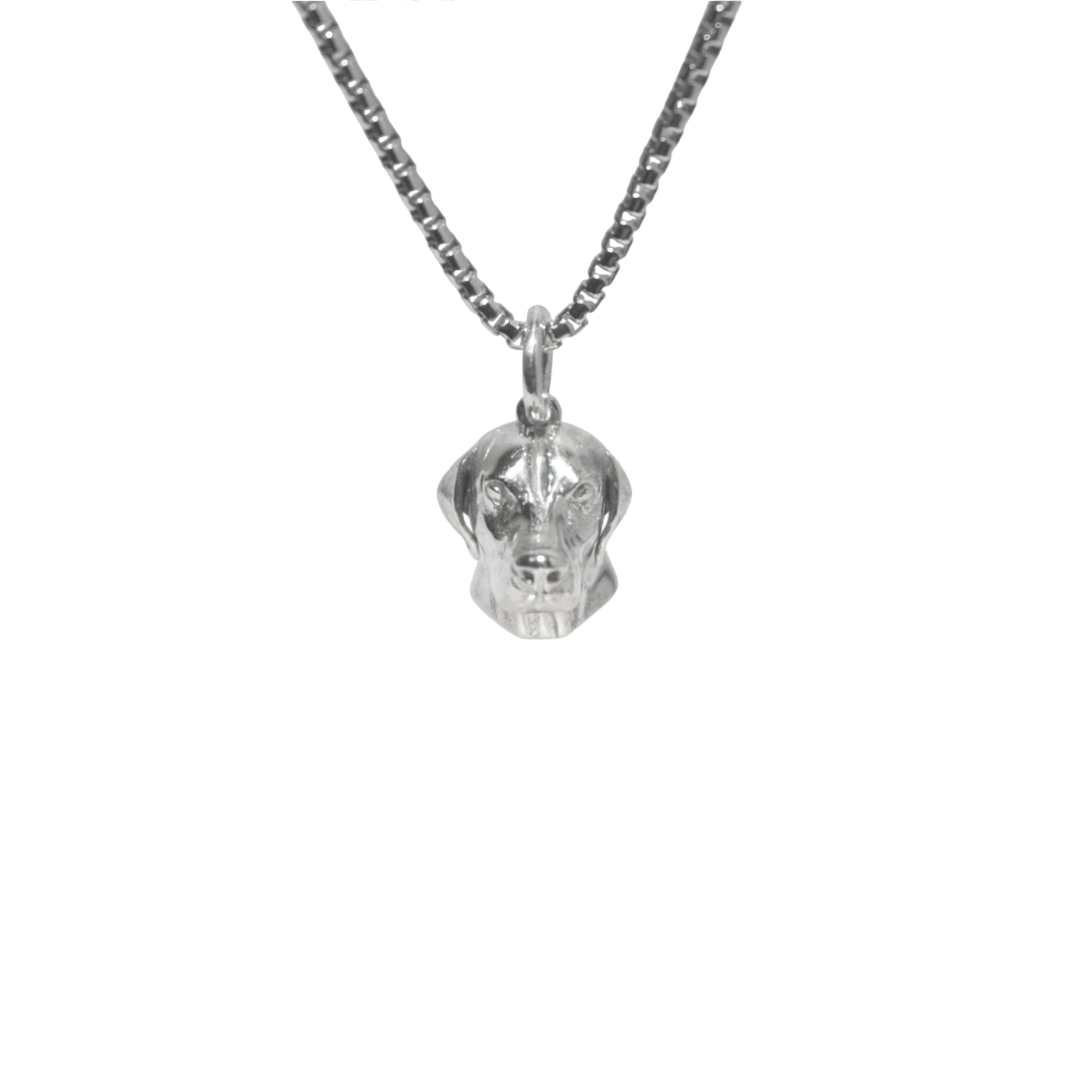 Charm Best Furry Friend 🐾